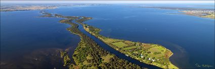 Mitchell River - VIC (PBH3 00 33805)